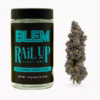 BLEM RAIL UP 10g