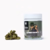 Zorro Runtz | Jarred Flower (28g) | Indica